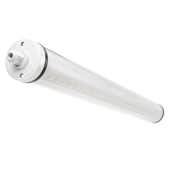 Intubon LED