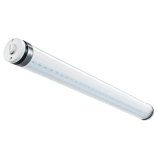 Intubon LED