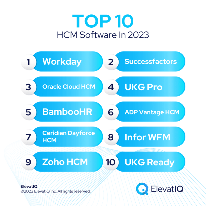 Top 10 HCM Software In 2024