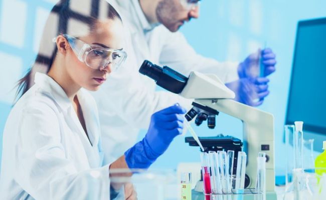 Mold Remediation Protocol Houston, TX | Veterans & Senior Discounts!