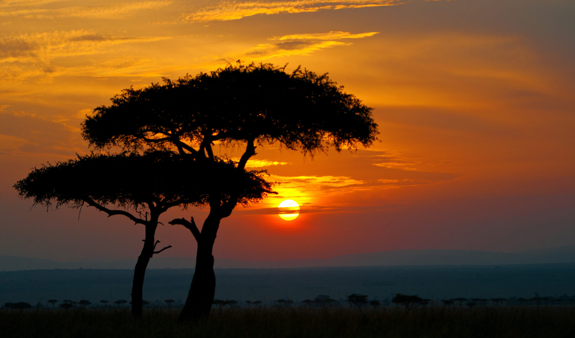 KENYA 5 JOURS
