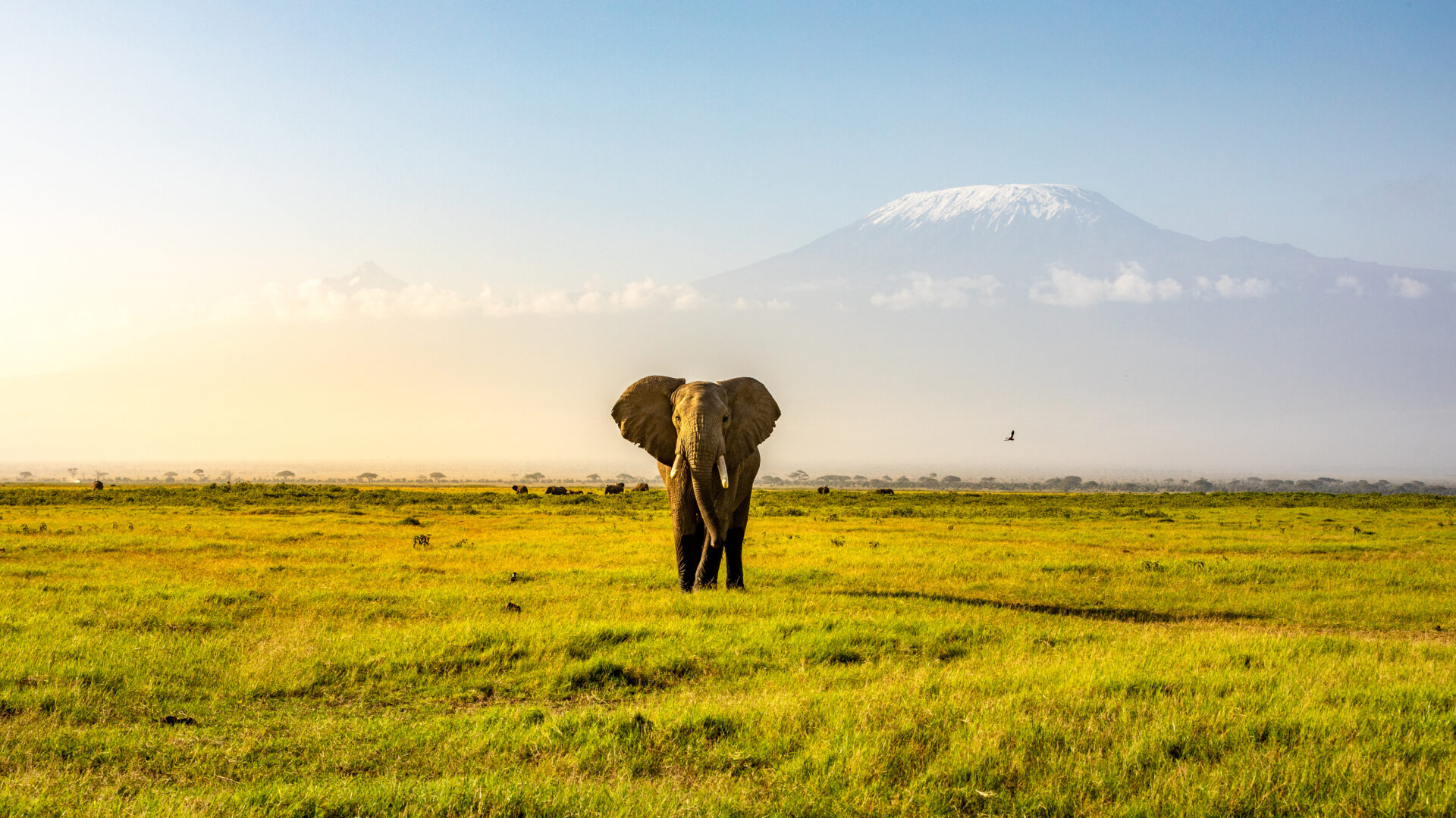 VOYAGE KENYA ITINÉRAIRE