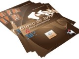 01 Curso De Java Para Principiantes Introducción Uso De Netbeans