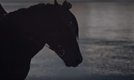 WARDRUNA estrenan video para “Raido”