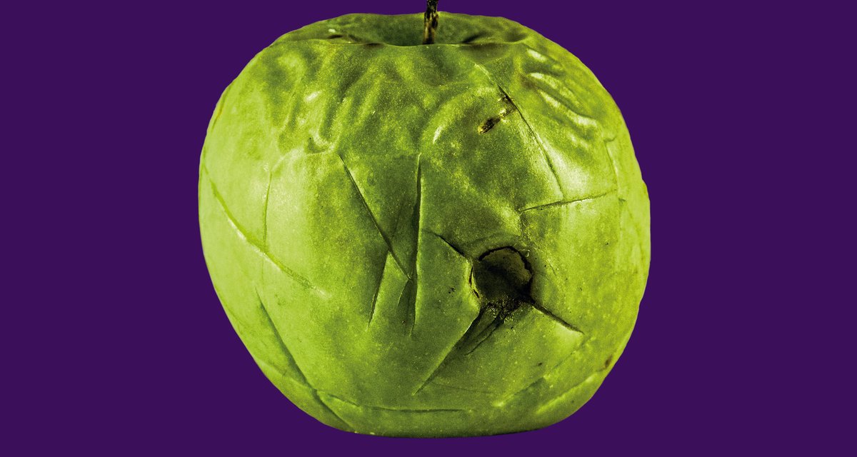 ZEAL & ARDOR tercer adelanto de su nuevo álbum “Stranger Fruit”