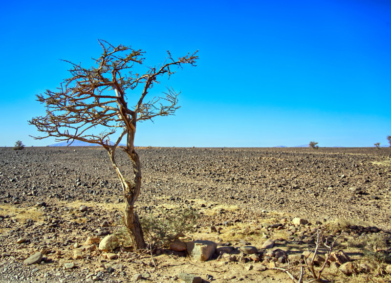 El Niño se avecina, sus primeras señales ya se están sintiendo y será muy fuerte