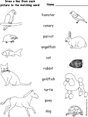 In a lot of ways, a pet like a cat or a dog is very much like a child because responsible owners care for their pets and make su. Animal Worksheet New 914 Pets Worksheets Kindergarten
