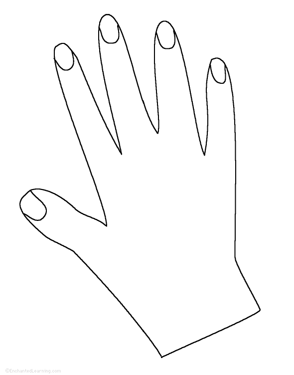Hand Tracing/Cutting Template: EnchantedLearning.com