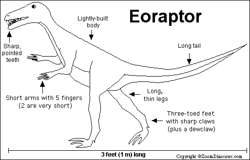 Interactive online coloring pages for kids to color and print online. Eoraptor Enchanted Learning Software