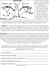 Or better yet, leave this activity out all october for the kids to come back to again and again. Bats At Enchantedlearning Com