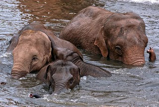 Postgres Rollback Explained - Premium Sunset Texture Gallery - Desktop