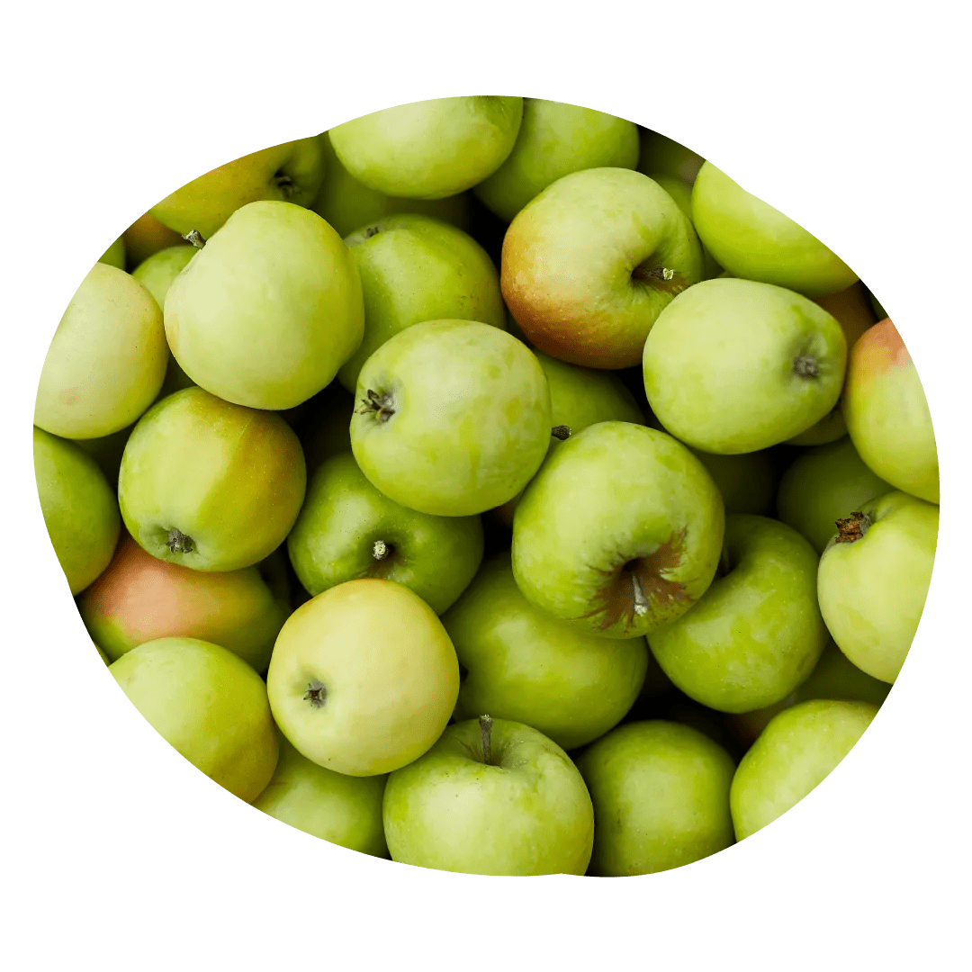 Boost Immunity Naturally Enecta