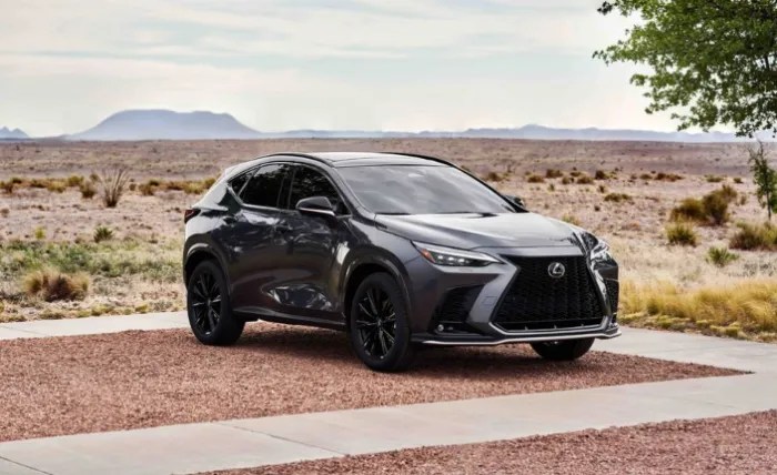 2025 Lexus NX Redesign, Specs, & Release Date