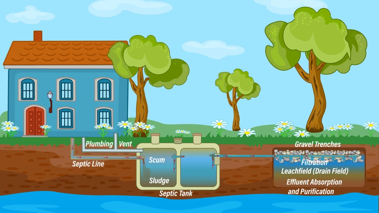Septic System Types, Cost, and Diagram