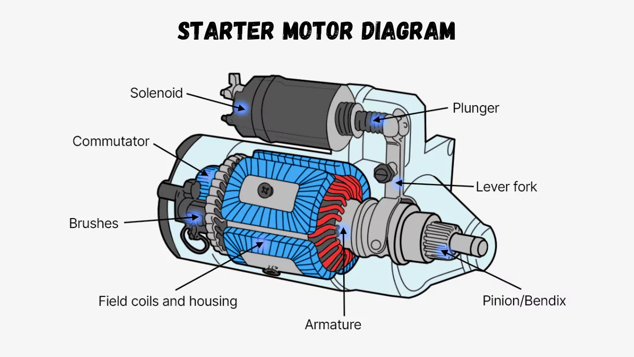 Starter Motor Diagram