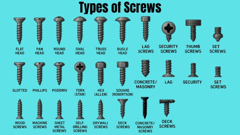 Different Types of Screws