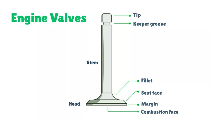 Engine Valves