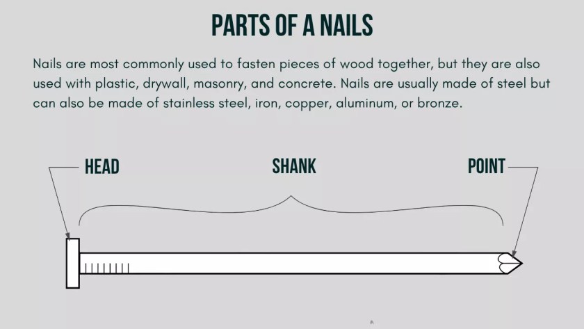Parts of a Nails