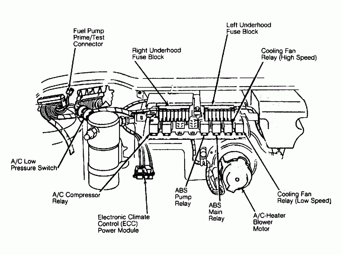 4.6 cadillac northstar engine firing order