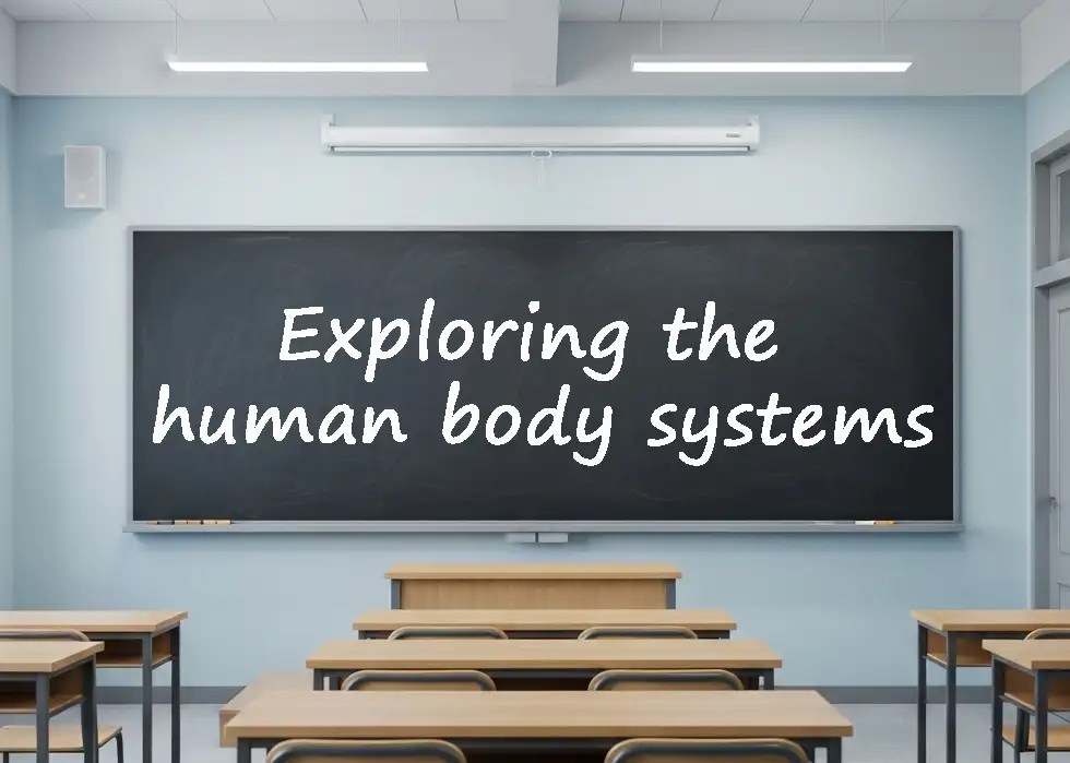 Exploring the human body systems vocab lesson