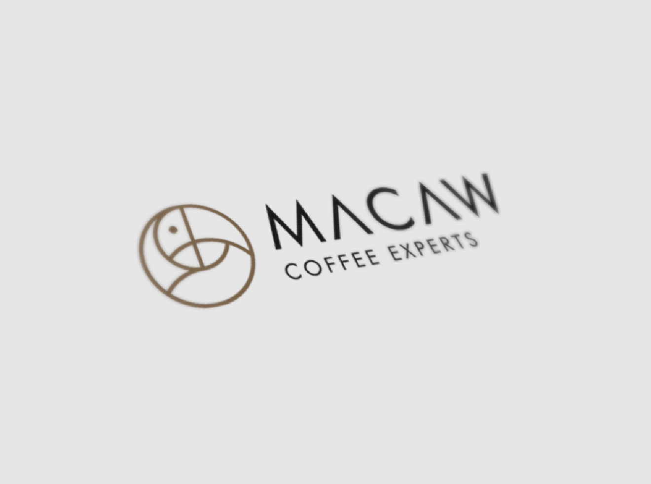 Macaw logo branding