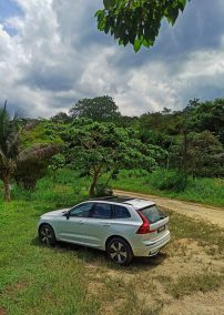IMG_20230611_134328-01