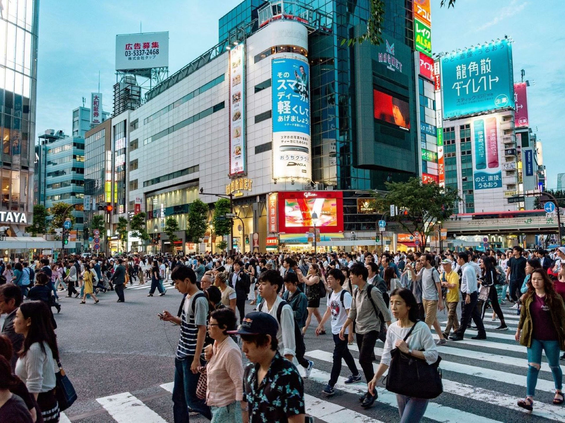 Japon