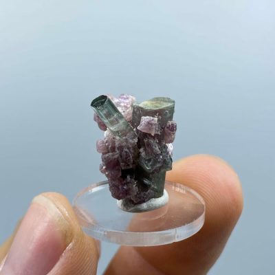 Alternative view of Tourmaline crystal with lepidolite, Pederneira mine