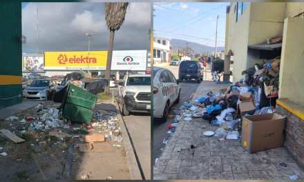 Cierre Temporal de Comercios en Ensenada por Mala Gestión de Residuos
