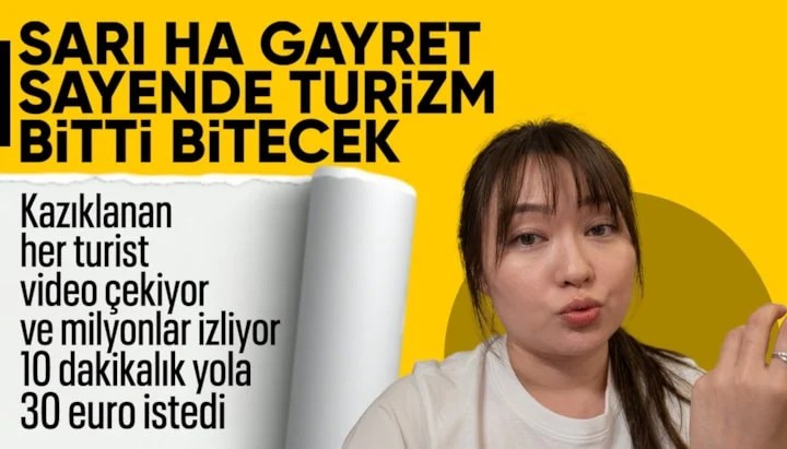 6a3e6dfdb47a2310