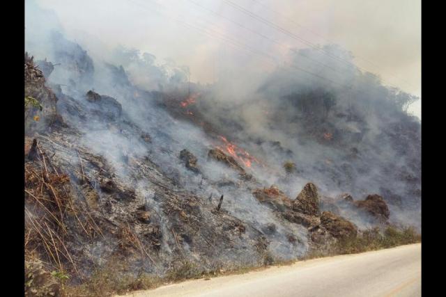 Incendio activo en Petén. Foto: CONAP