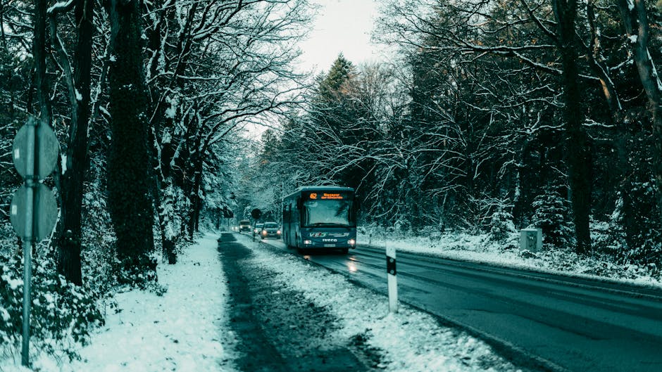 England’s revolutionary “forest city” could house one million people in wooden homes by 2030