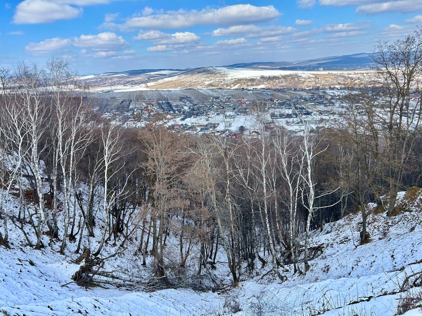 Cop30 climate summit in belém reaches last-minute agreement after marathon overnight negotiations