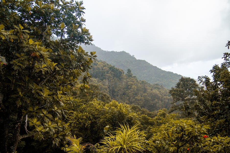 Cop30 climate summit avoids collapse but leaves critical issues unresolved as time runs out
