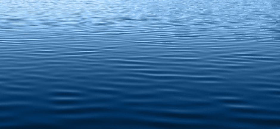 Pakistan’s lake manchar crisis: ancient water community faces extinction as ecosystem collapses