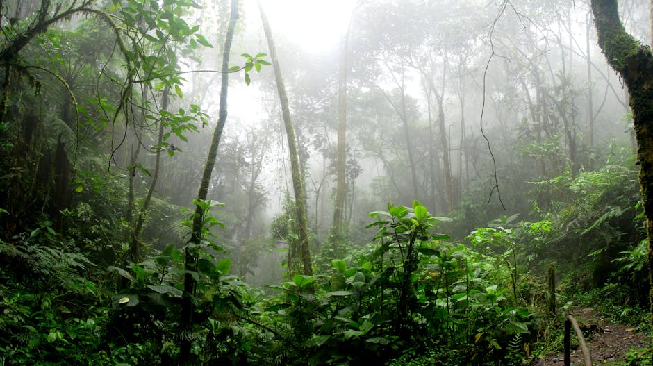Indigenous community members in Colombia's Amazon forest discussing mining threats to their ancestral lands
