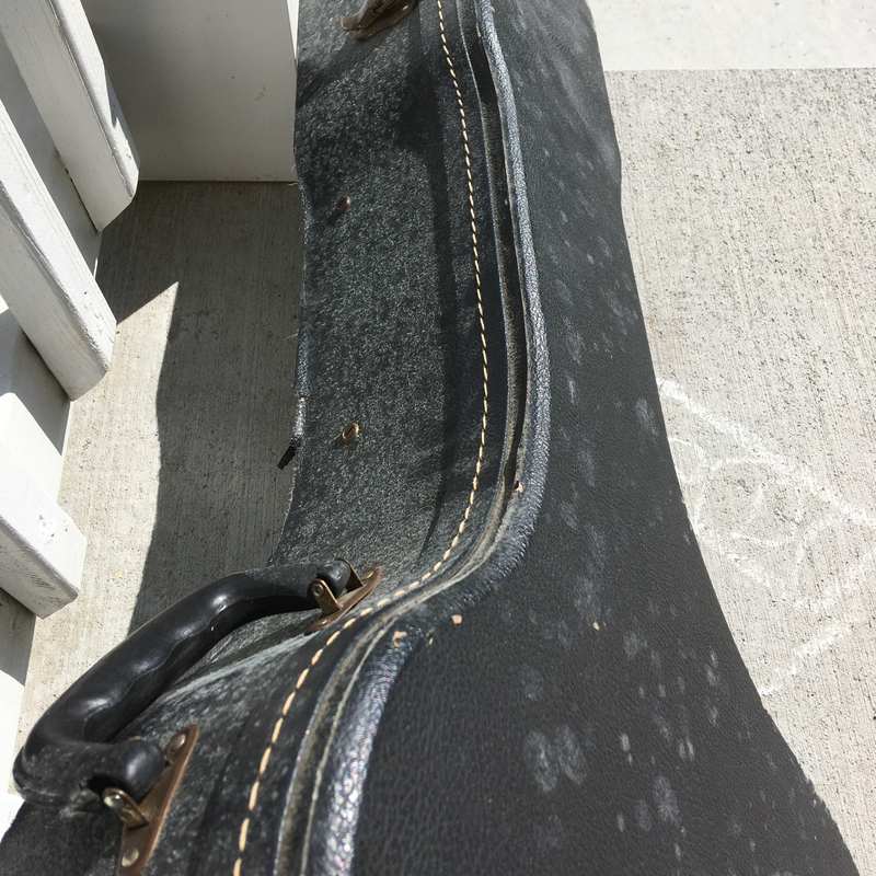 How To Remove Mold From Leather Howtoremoveblackmold 