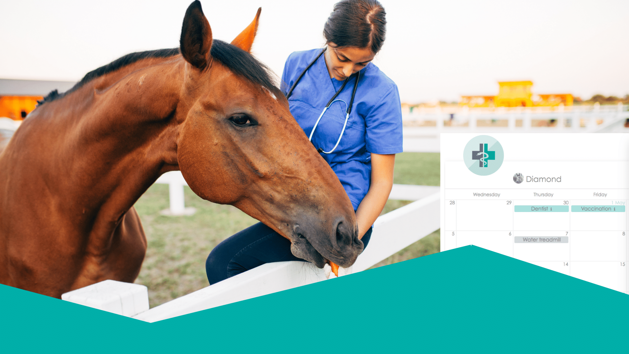 How to make scheduling your horse's vaccination easier