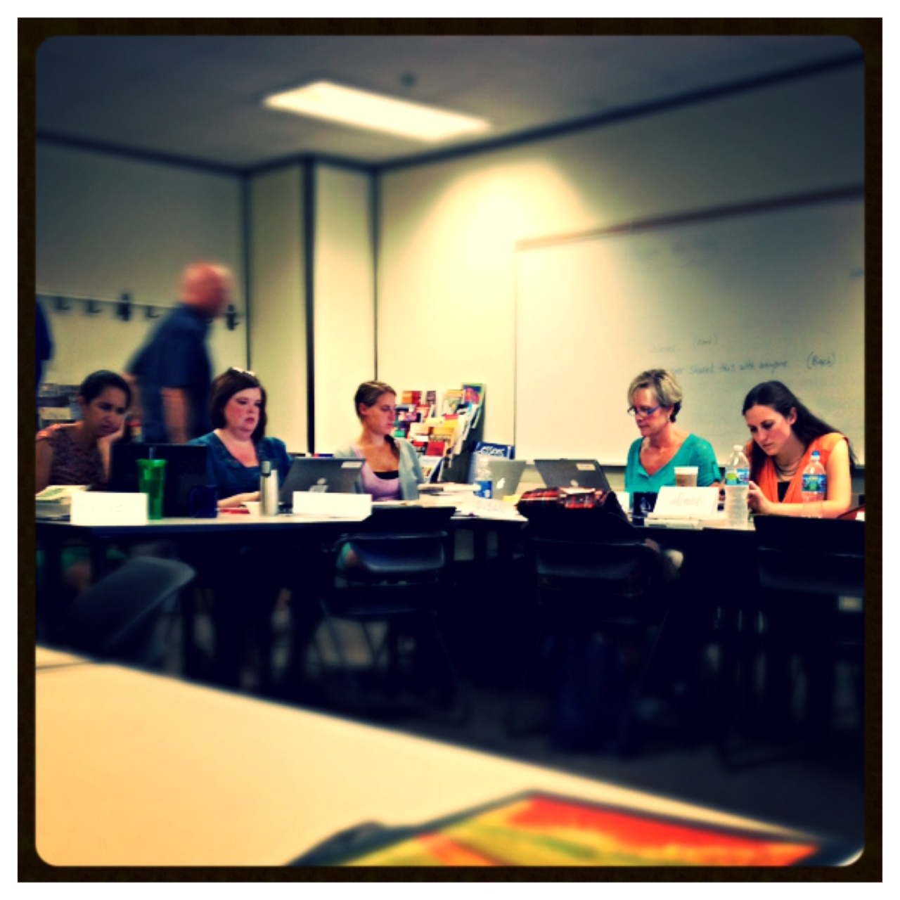 Lake Michigan Writing Project THE GOOD ENOUGH TEACHER