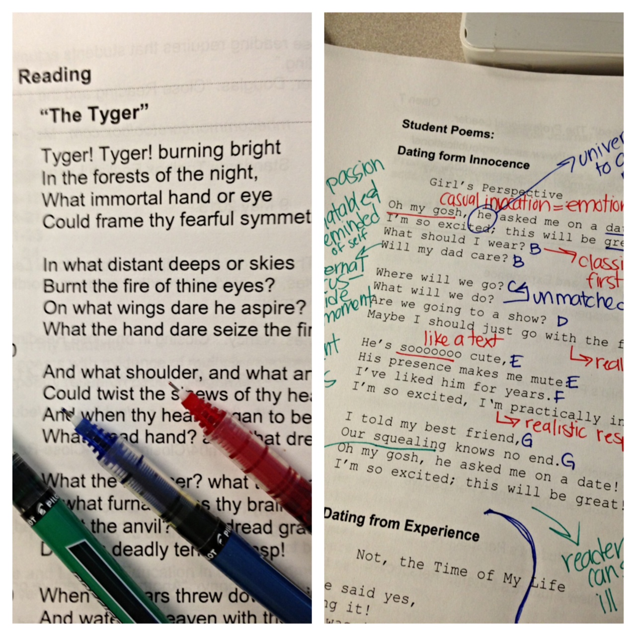 Lake Michigan Writing Project – THE GOOD ENOUGH TEACHER