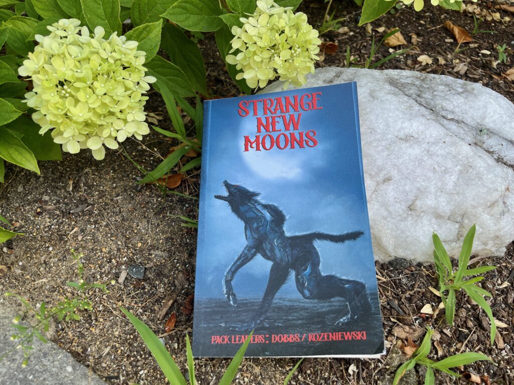 Strange New Moons | Book Review
