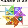 What Is Database Management System (DBMS)? - Examples, Components