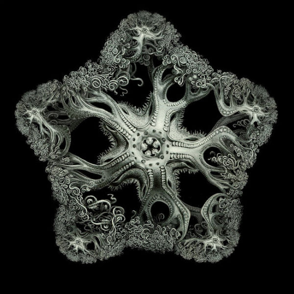 Fractal Showcase: Images, Simulations, and Videos | Escape Into Life