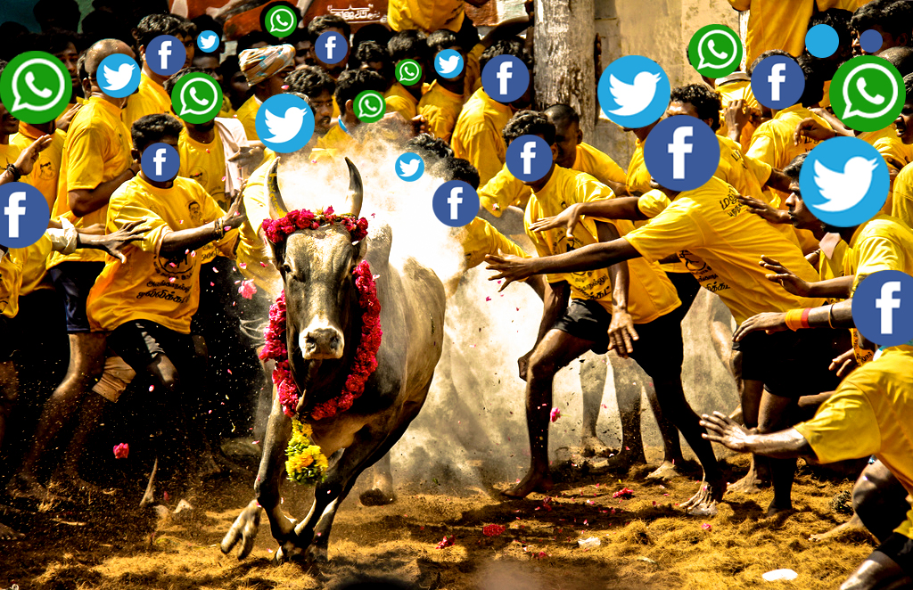Social Media Helped Jallikattu Revolution