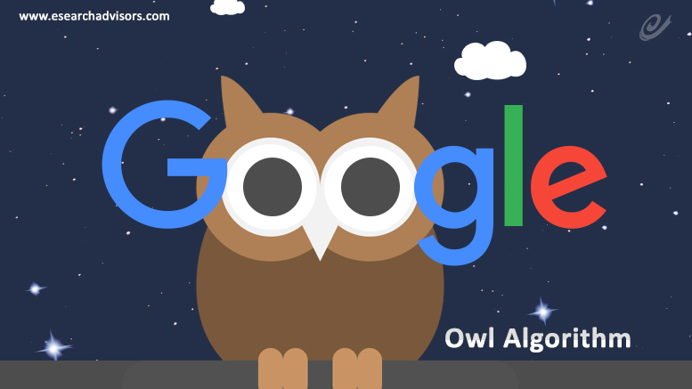 Google's Project Owl