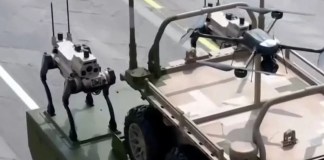 Lobo robot china