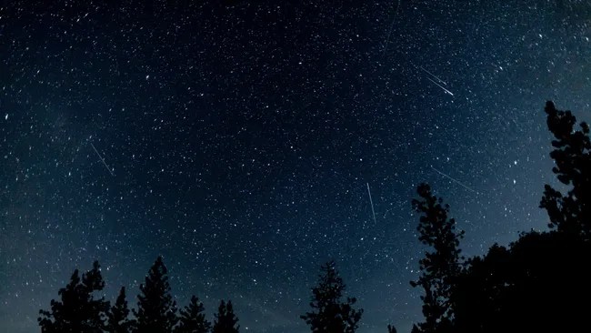 Meteoros Halley