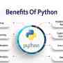 Future Of Python Programming Language - ESpakBiz Insider