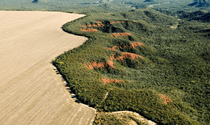 Desmatamento no Cerrado emite 135 milhões de toneladas de CO2 desde 2023