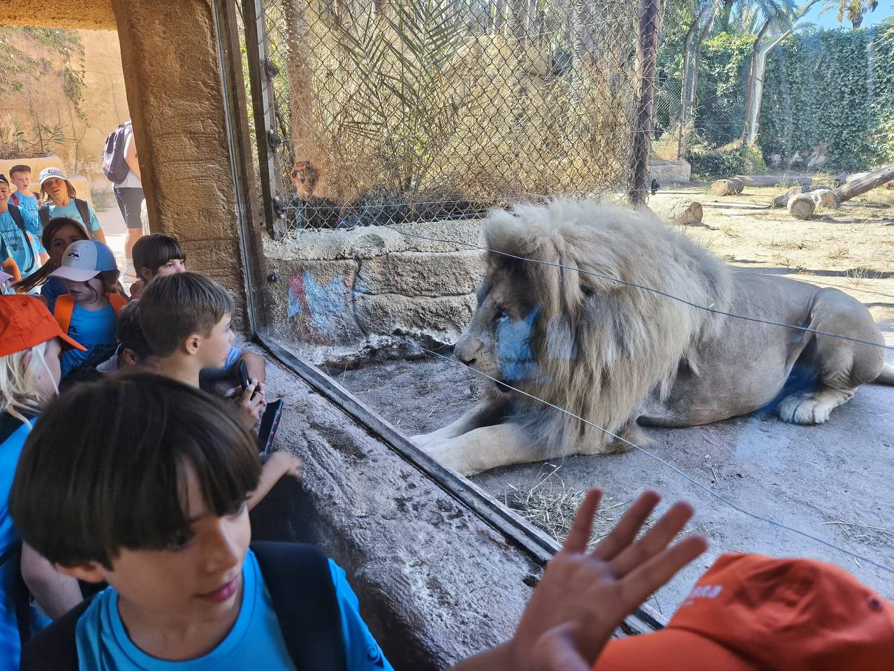 Safari Campus 3